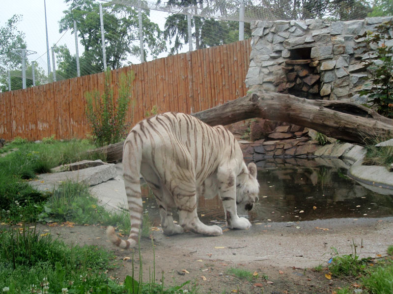 Вроцлавский зоопарк